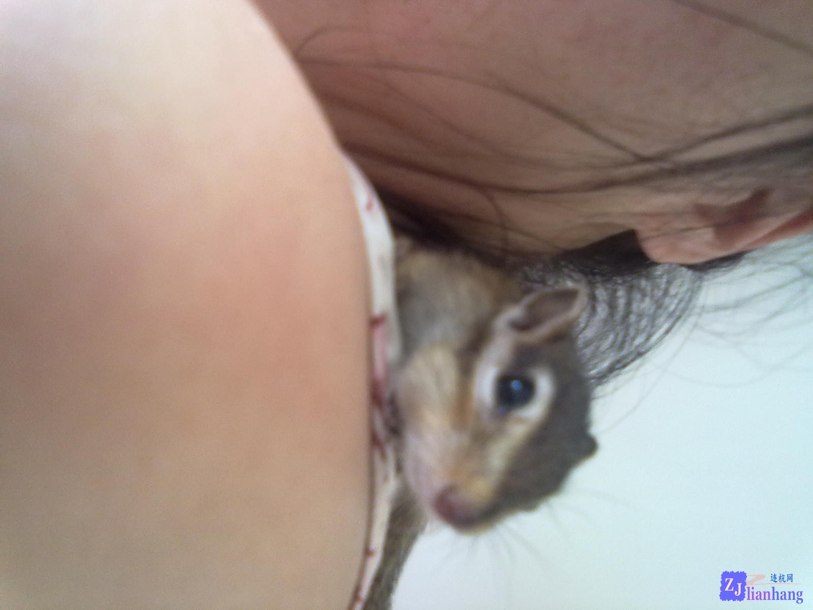 201307132019.jpg