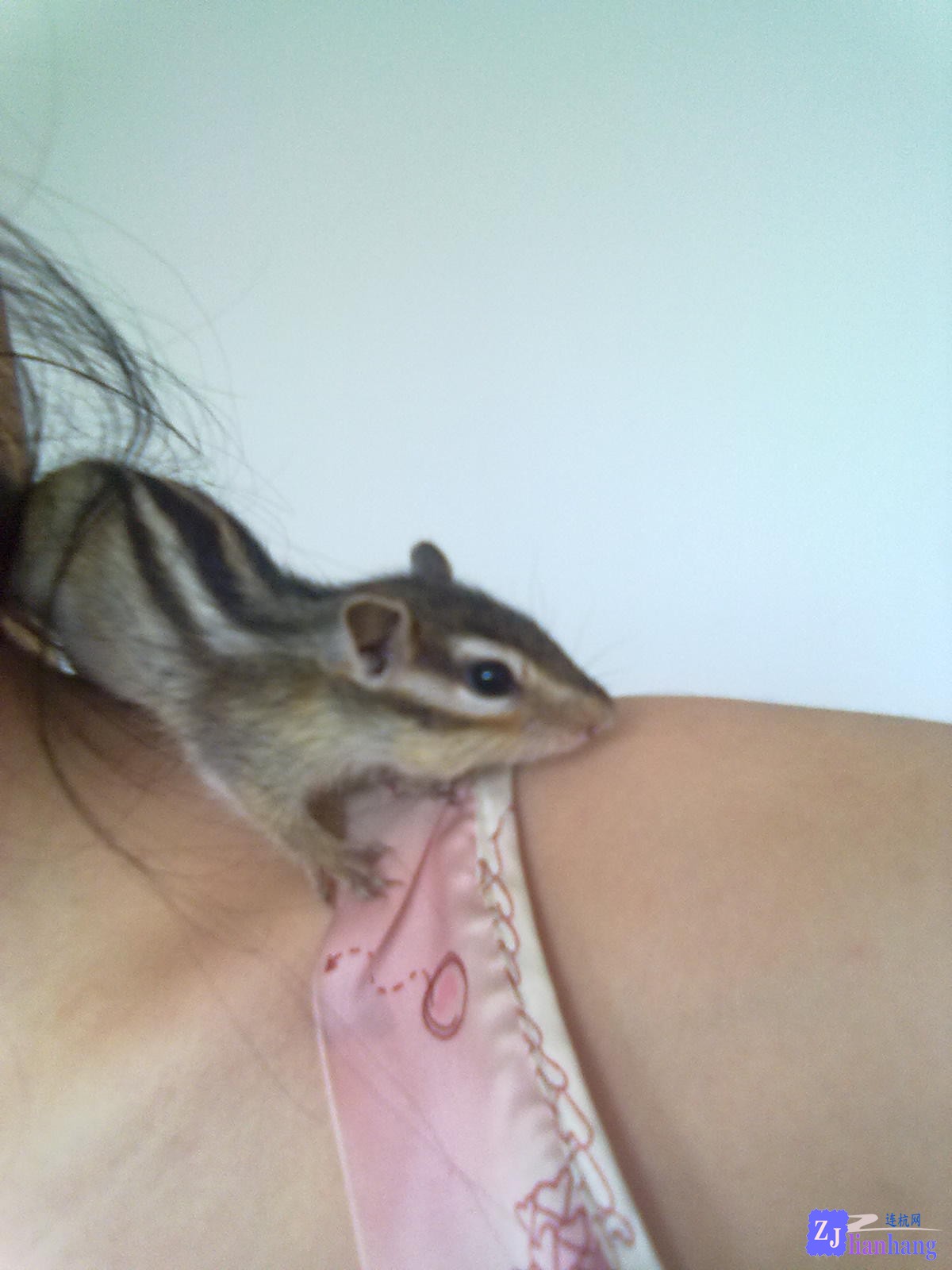 201307132012.jpg
