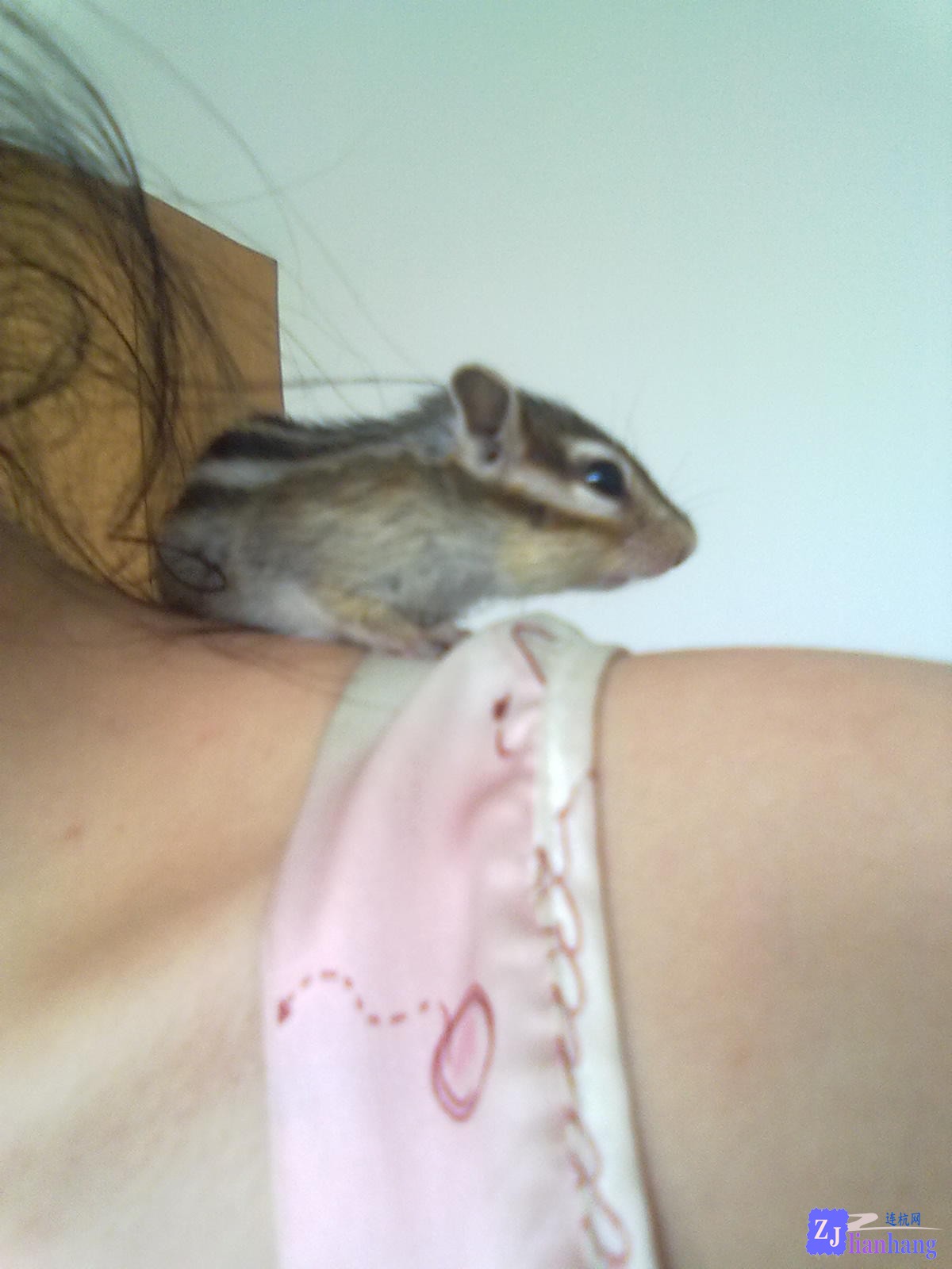 201307132016.jpg