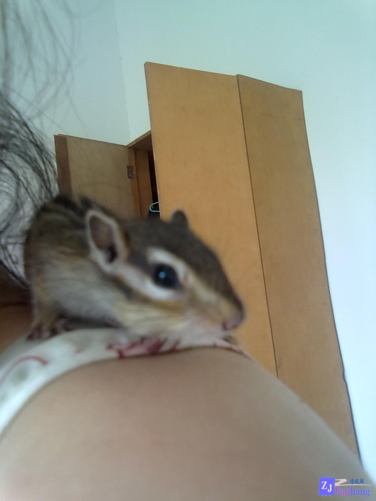 201307132017.jpg
