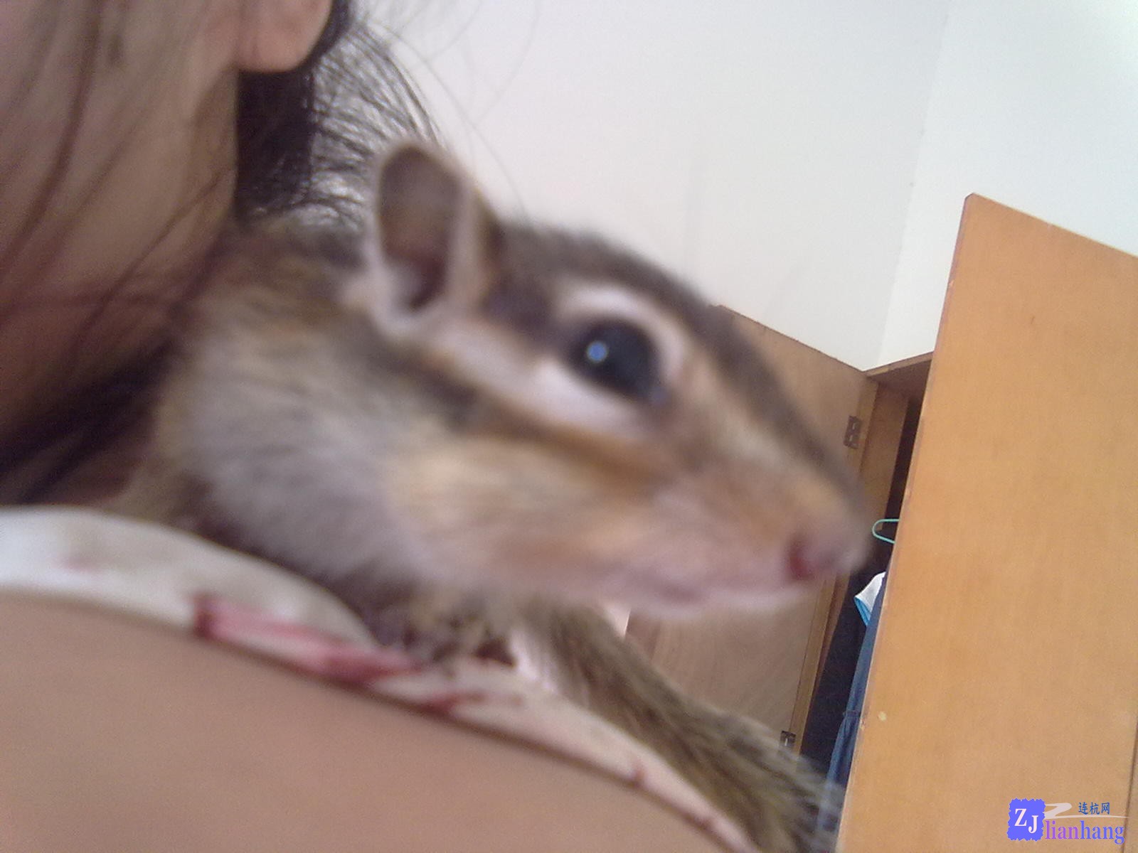 201307132018.jpg