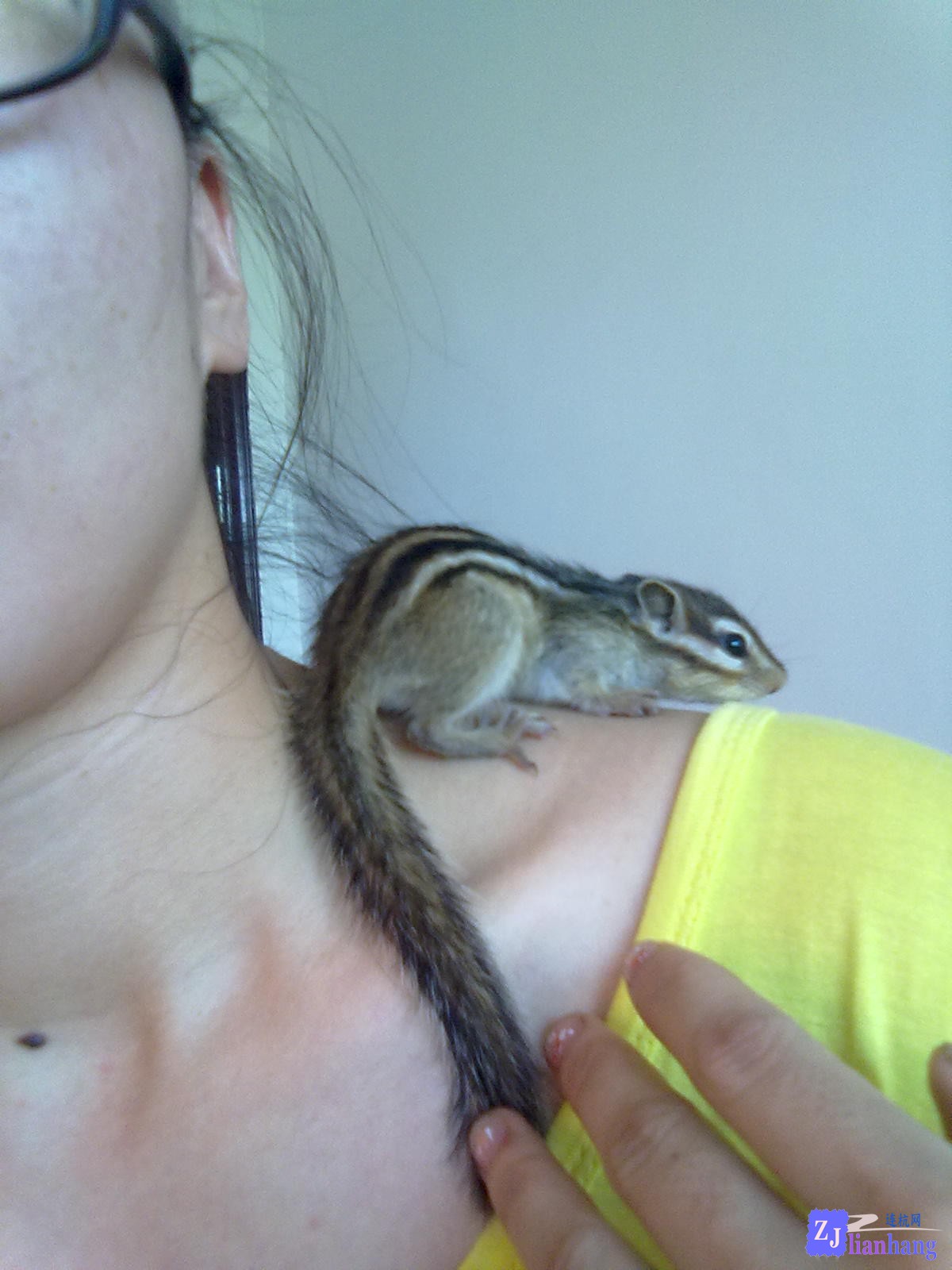 201307121995.jpg