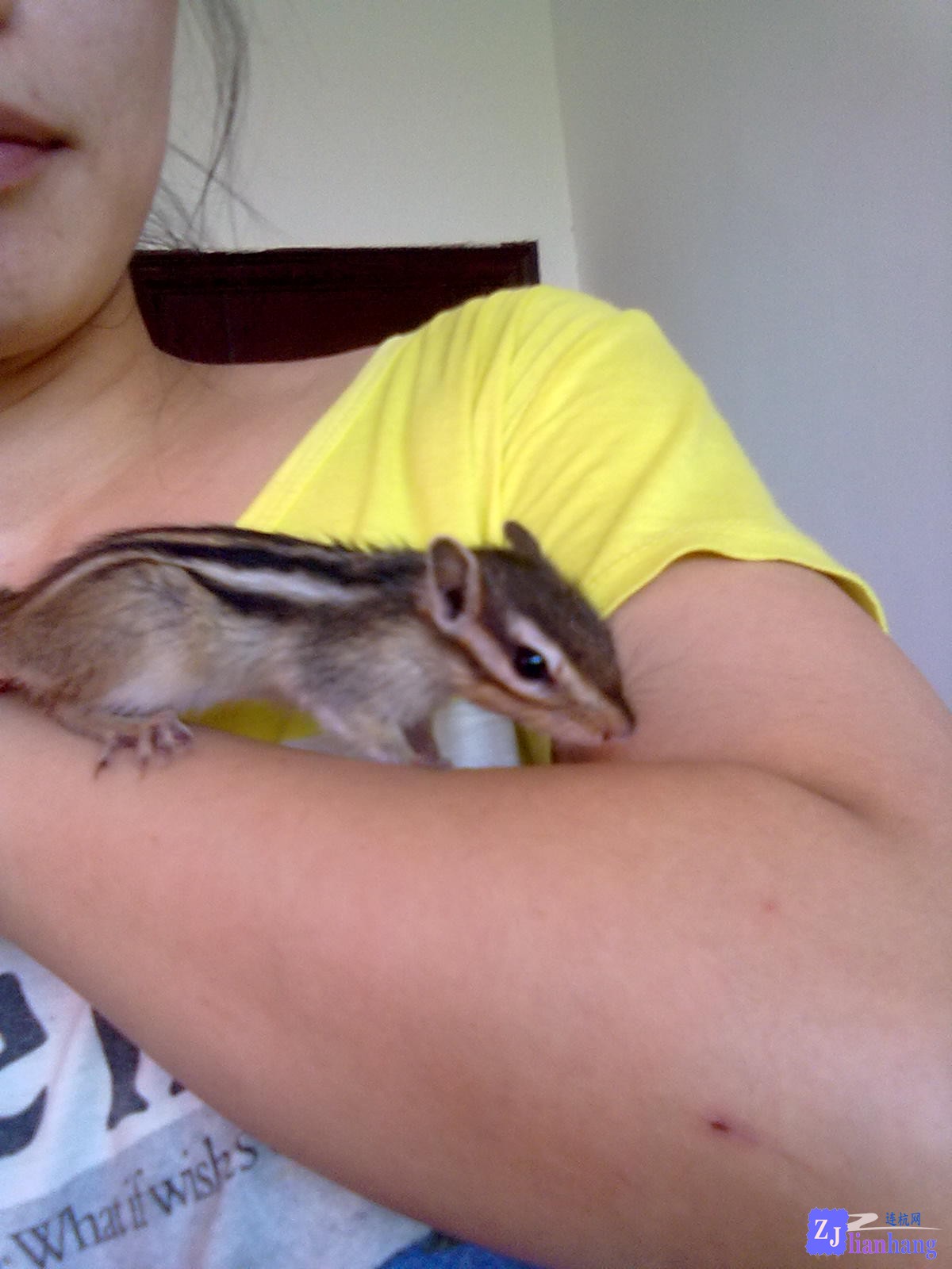201307121992.jpg