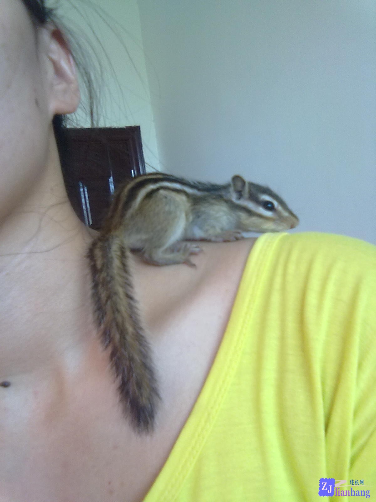 201307121993.jpg