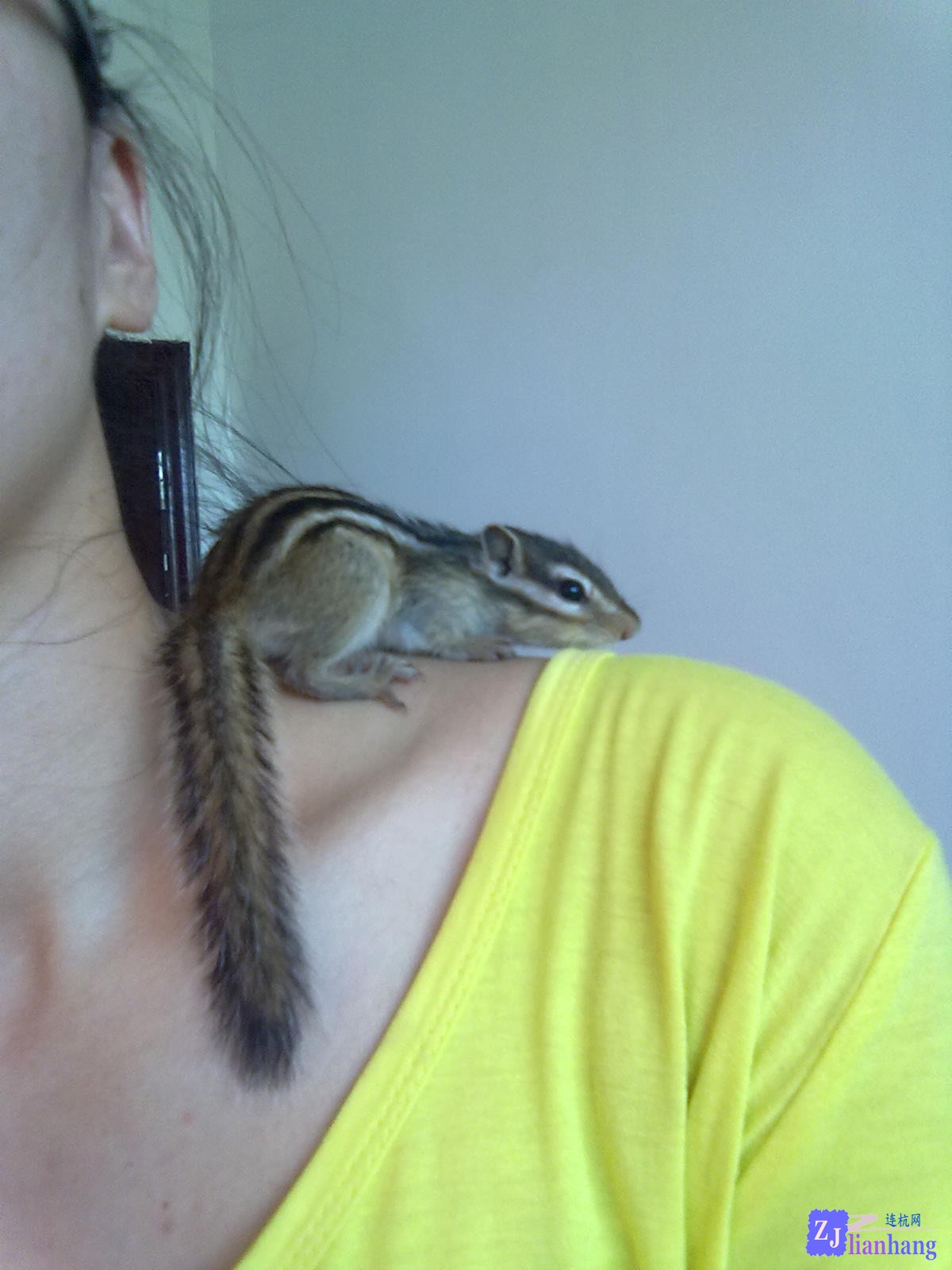 201307121994.jpg